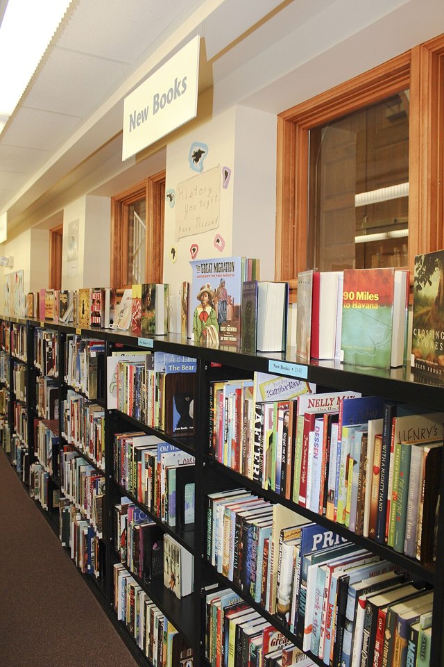 Children’s books displayed on library shelves