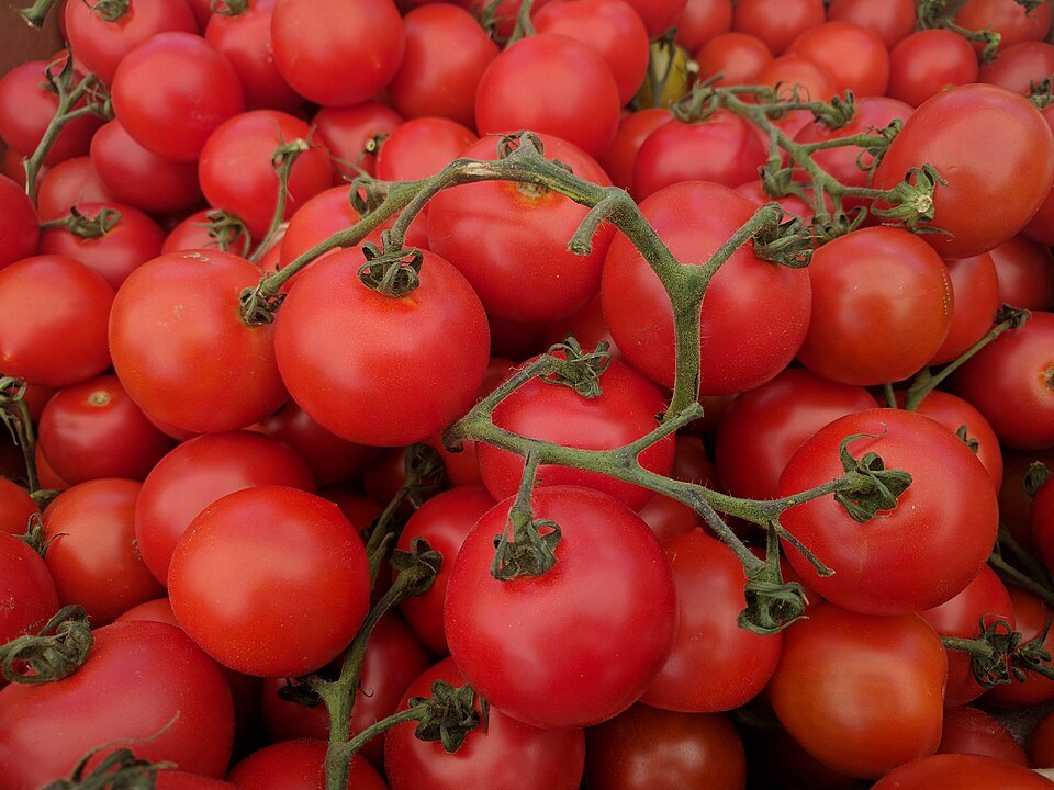 Fresh tomatoes at a market