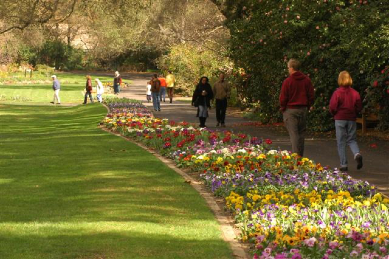 Visitors walking beside lawns and flower beds at Descanso Gardens